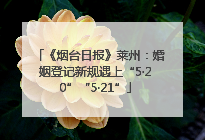 《烟台日报》莱州：婚姻登记新规遇上“5·20”“5·21”