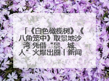 《白色橄榄树》《八角笼中》取景地沙湾 凭借“景、城、人”火爆出圈丨新闻发布最前线