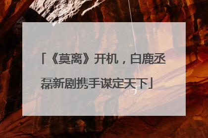 《莫离》开机，白鹿丞磊新剧携手谋定天下
