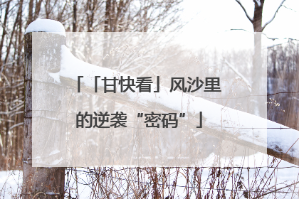 「甘快看」风沙里的逆袭“密码”