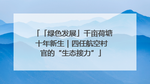 「绿色发展」千亩荷塘 十年新生｜四任航空村官的“生态接力”