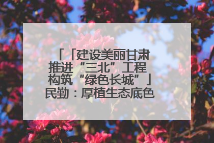 「建设美丽甘肃 推进“三北”工程 构筑“绿色长城”」民勤：厚植生态底色 筑牢绿色屏障