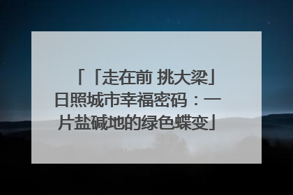 「走在前 挑大梁」日照城市幸福密码：一片盐碱地的绿色蝶变