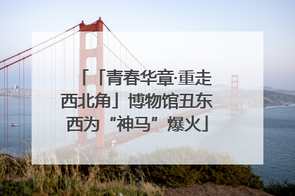 「青春华章·重走西北角」博物馆丑东西为“神马”爆火