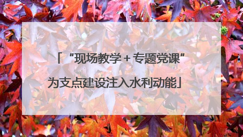 “现场教学＋专题党课”为支点建设注入水利动能