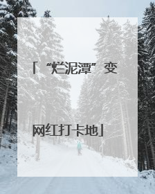 “烂泥潭”变网红打卡地