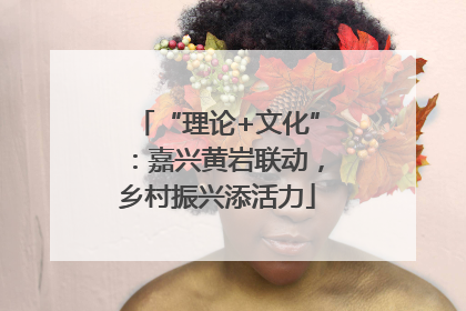 “理论+文化”：嘉兴黄岩联动，乡村振兴添活力