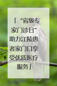 “省级专家门诊日”助力江陵患者家门口享受优质医疗服务