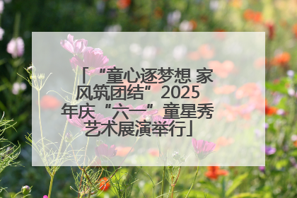 “童心逐梦想 家风筑团结”2025年庆“六一”童星秀艺术展演举行