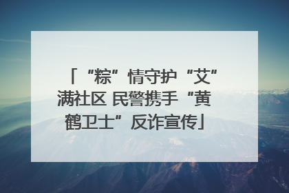“粽”情守护“艾”满社区 民警携手“黄鹤卫士”反诈宣传