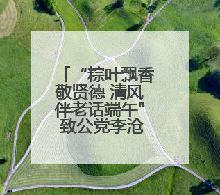 “粽叶飘香敬贤德 清风伴老话端午” 致公党李沧区基层委携手兴城路街道四流北路社区开展端午节主题活动