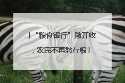 “粮食银行”敞开收，农民不再愁存粮