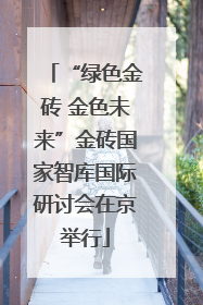 “绿色金砖 金色未来”金砖国家智库国际研讨会在京举行