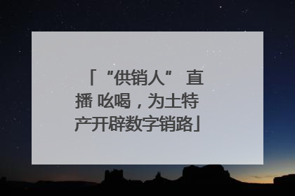 “供销人” 直播 吆喝，为土特产开辟数字销路