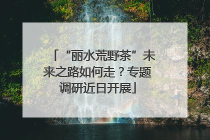 “丽水荒野茶”未来之路如何走？专题调研近日开展