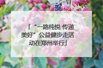 “一路纯悦 传递美好”公益健步走活动在郑州举行