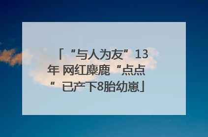 “与人为友”13年 网红麋鹿“点点”已产下8胎幼崽