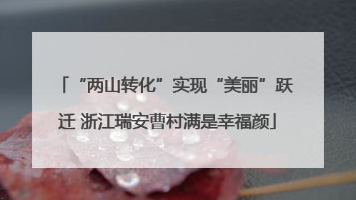 “两山转化”实现“美丽”跃迁 浙江瑞安曹村满是幸福颜