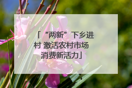 “两新”下乡进村 激活农村市场消费新活力