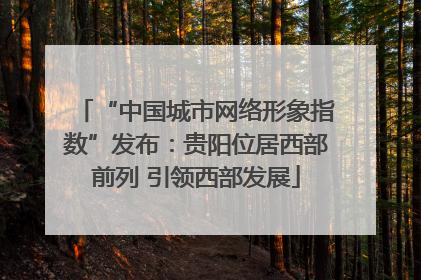 “中国城市网络形象指数”发布：贵阳位居西部前列 引领西部发展