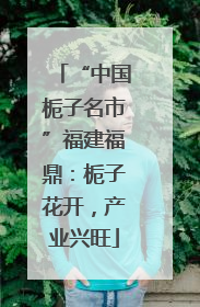 “中国栀子名市”福建福鼎：栀子花开，产业兴旺