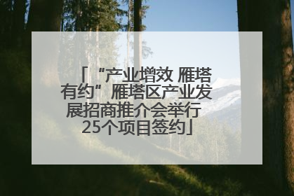 “产业增效 雁塔有约”雁塔区产业发展招商推介会举行 25个项目签约
