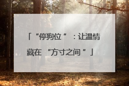 “停狗位 ”：让温情藏在 “方寸之间 ”