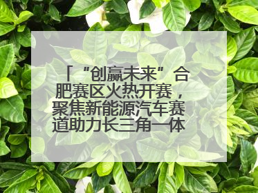“创赢未来”合肥赛区火热开赛，聚焦新能源汽车赛道助力长三角一体化发展