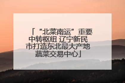 “北菜南运”重要中转枢纽 辽宁新民市打造东北最大产地蔬菜交易中心