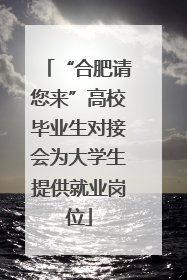 “合肥请您来”高校毕业生对接会为大学生提供就业岗位