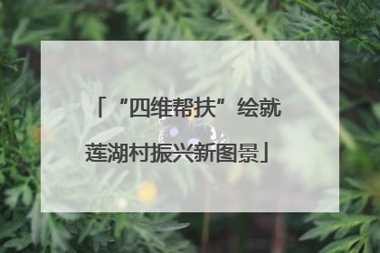 “四维帮扶”绘就莲湖村振兴新图景