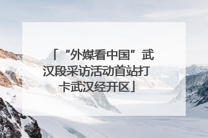 “外媒看中国”武汉段采访活动首站打卡武汉经开区