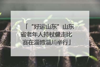 “好运山东”山东省老年人持杖健走比赛在淄博淄川举行