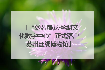 “彣芯雕龙·丝绸文化数字中心”正式落户苏州丝绸博物馆
