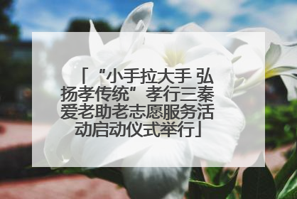 “小手拉大手 弘扬孝传统”孝行三秦爱老助老志愿服务活动启动仪式举行