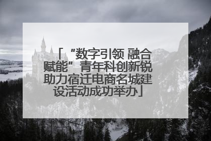 “数字引领 融合赋能”青年科创新锐助力宿迁电商名城建设活动成功举办