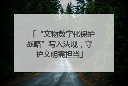 “文物数字化保护战略”写入法规，守护文明需担当