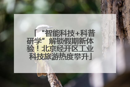 “智能科技+科普研学”解锁假期新体验！北京经开区工业科技旅游热度攀升