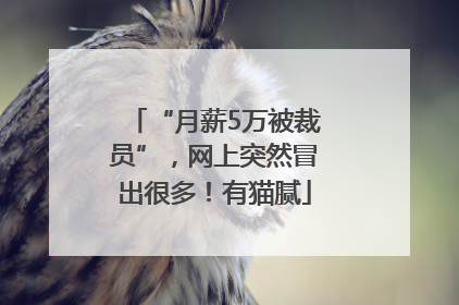 “月薪5万被裁员”，网上突然冒出很多！有猫腻