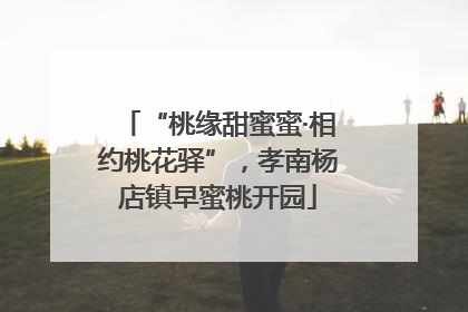 “桃缘甜蜜蜜·相约桃花驿”，孝南杨店镇早蜜桃开园