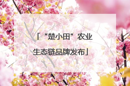 “楚小田”农业生态链品牌发布