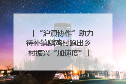 “沪滇协作”助力待补镇鹧鸡村跑出乡村振兴“加速度”