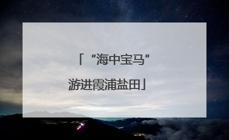 “海中宝马”游进霞浦盐田