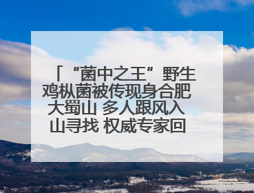 “菌中之王”野生鸡枞菌被传现身合肥大蜀山 多人跟风入山寻找 权威专家回应市民三问