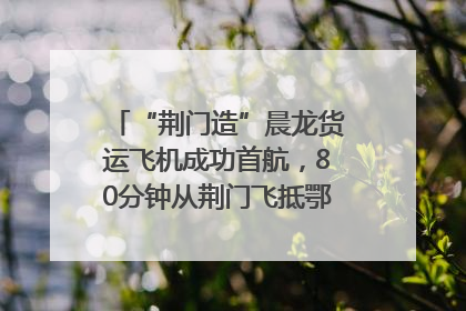 “荆门造”晨龙货运飞机成功首航，80分钟从荆门飞抵鄂州花湖机场
