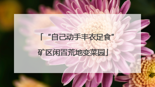 “自己动手丰衣足食”矿区闲置荒地变菜园
