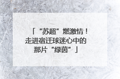 “苏超”燃激情！走进宿迁球迷心中的那片“绿茵”