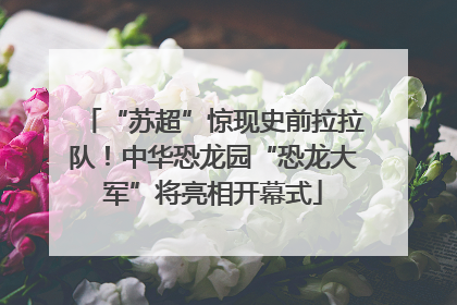 “苏超”惊现史前拉拉队！中华恐龙园“恐龙大军”将亮相开幕式