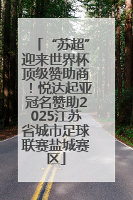 “苏超”迎来世界杯顶级赞助商！悦达起亚冠名赞助2025江苏省城市足球联赛盐城赛区