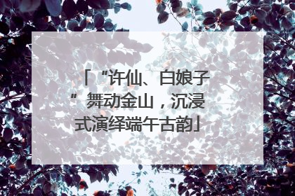 “许仙、白娘子”舞动金山，沉浸式演绎端午古韵